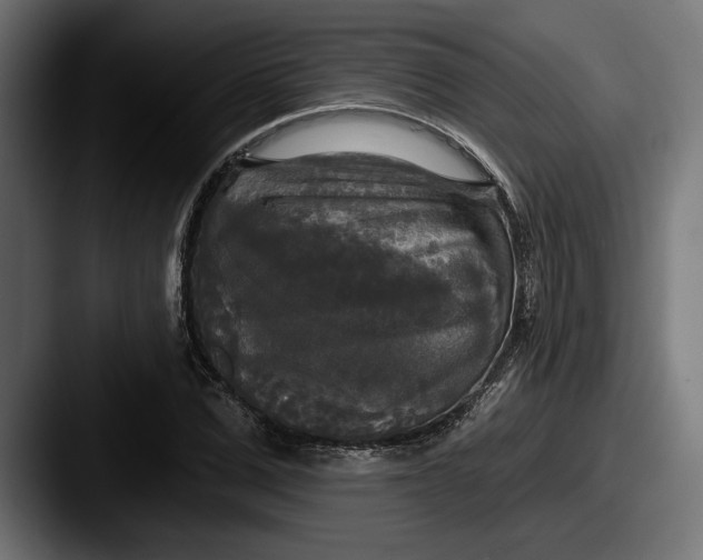 X0000087510975200705180951
