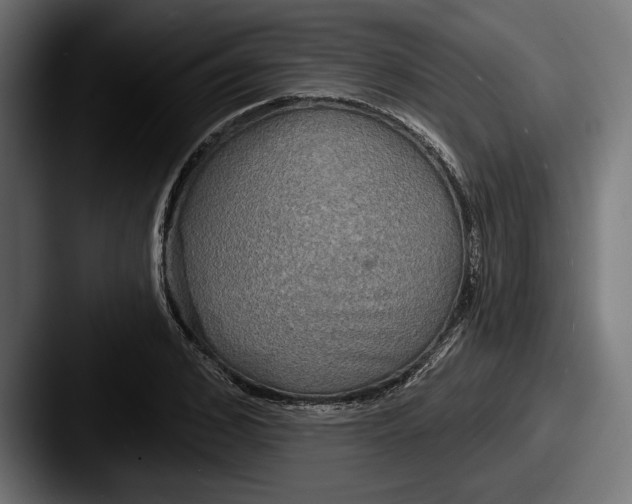 X0000087510976200705180951