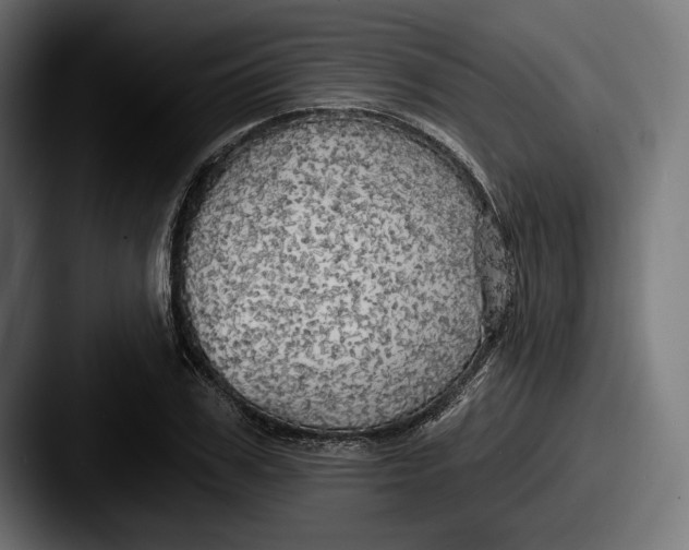 X0000087510979200705180951