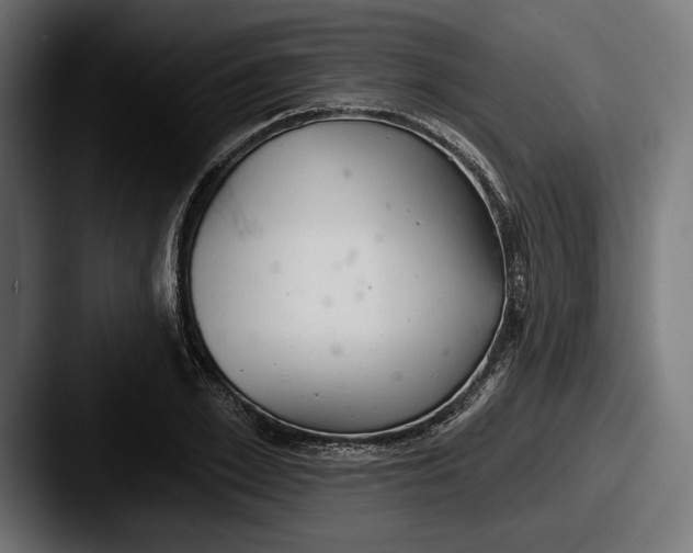 X0000087510981200705180951