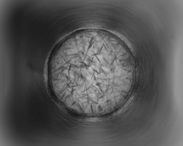 X0000087510982200705180951