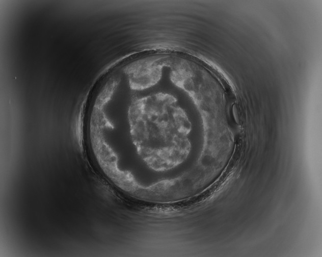 X0000087510983200705180951