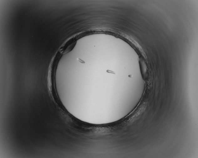 X0000087510984200705180951