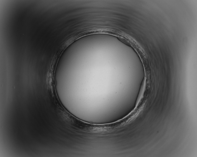 X0000087510985200705180951