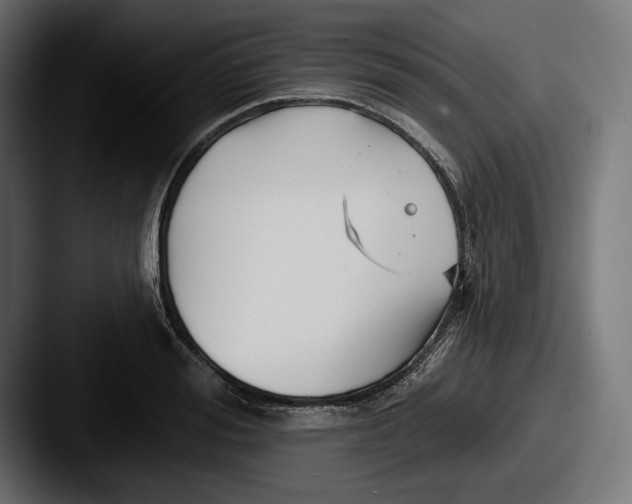 X0000087510988200705180951