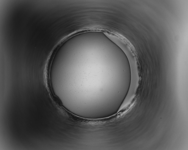 X0000087510989200705180951