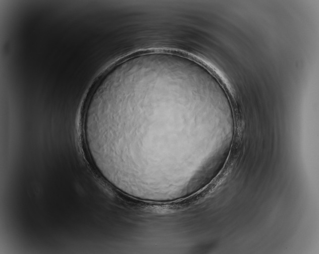 X0000087510990200705180951
