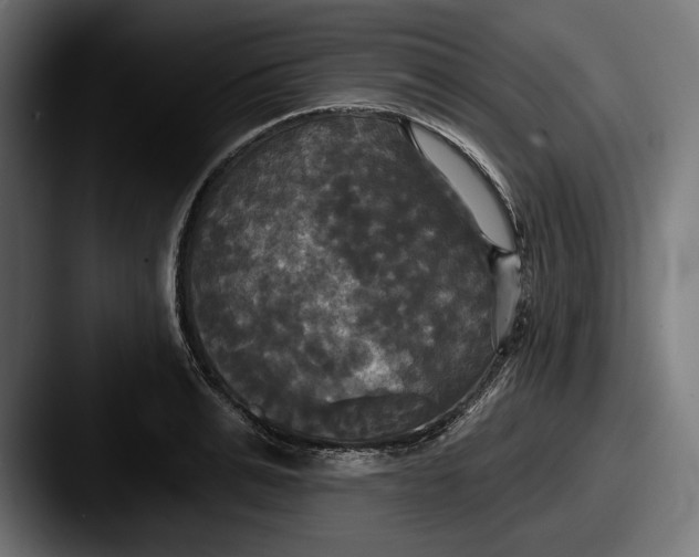 X0000087510991200705180951