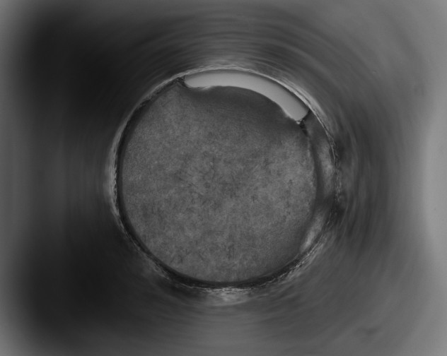 X0000087510992200705180951