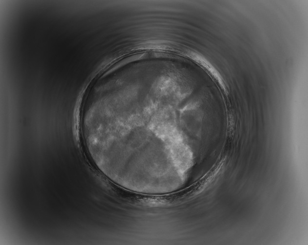 X0000087510994200705180951