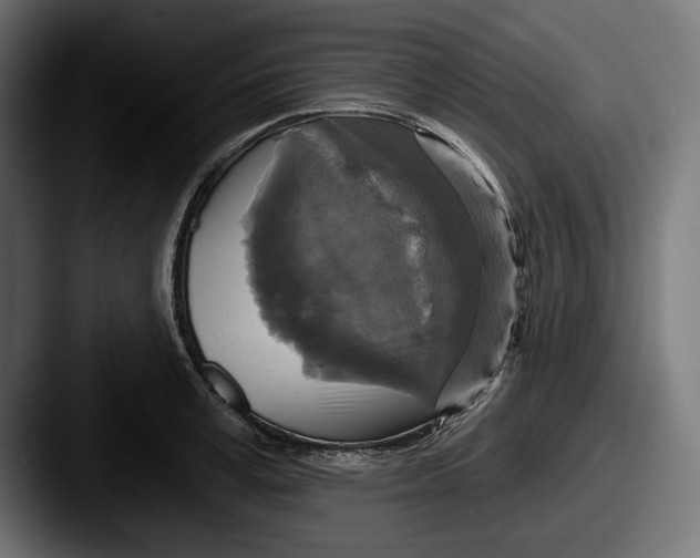 X0000087510995200705180951