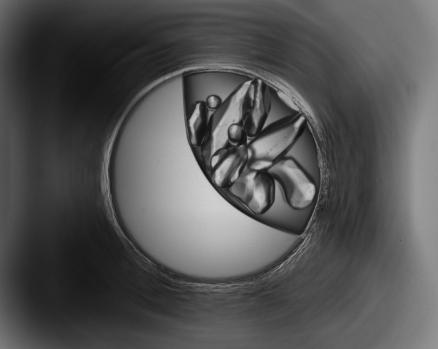X0000087510996200705180951