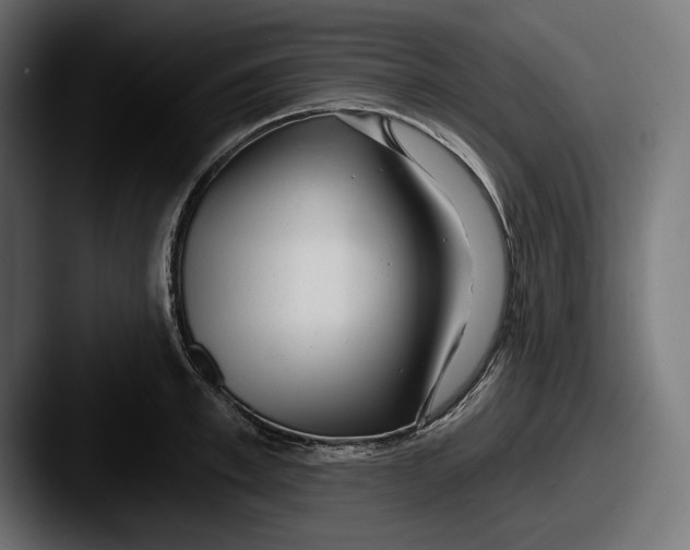 X0000087510997200705180951