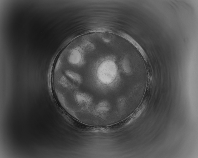 X0000087511002200705180951