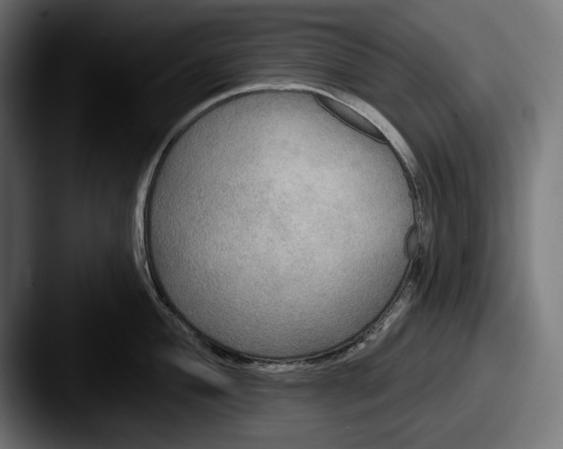 X0000087511004200705180951