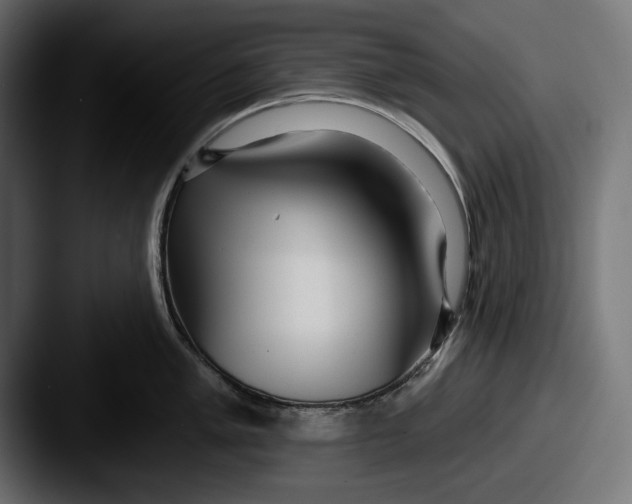 X0000087511005200705180951