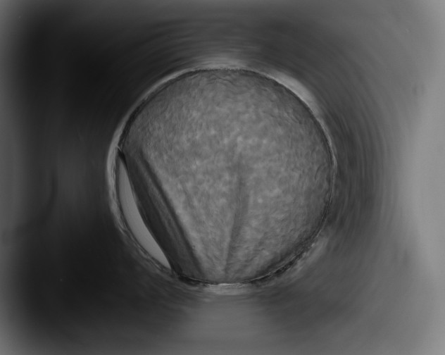X0000087511008200705180951