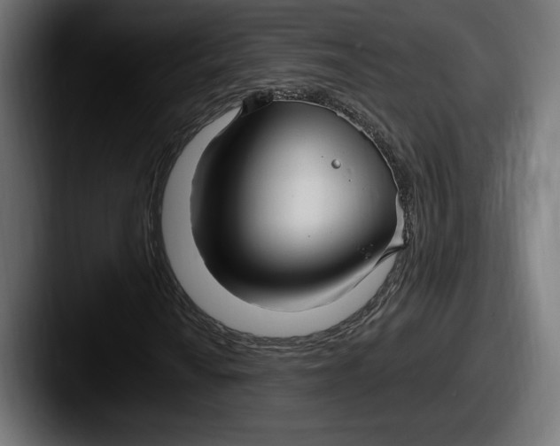 X0000087511010200705180950