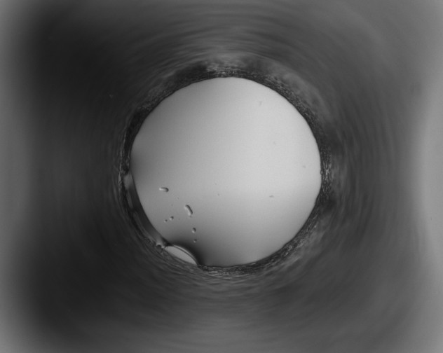 X0000087511012200705180950