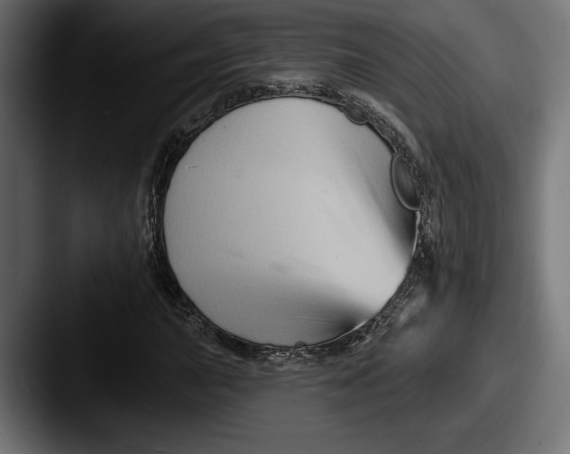 X0000087511015200705180950