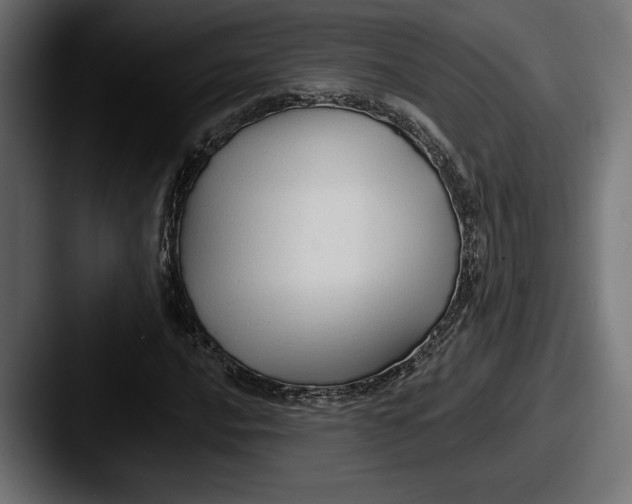 X0000087511016200705180950