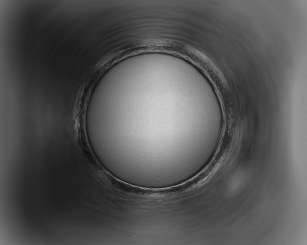 X0000087511017200705180950