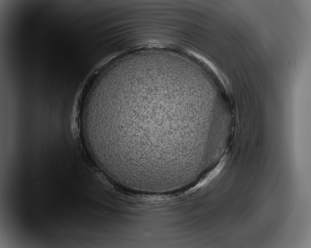 X0000087511018200705180950