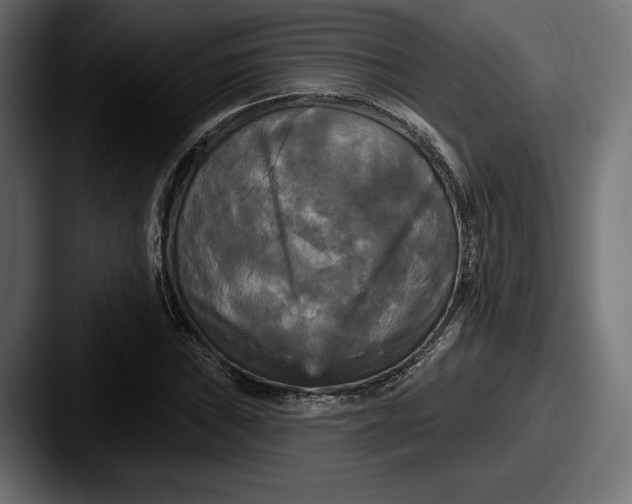 X0000087511019200705180950