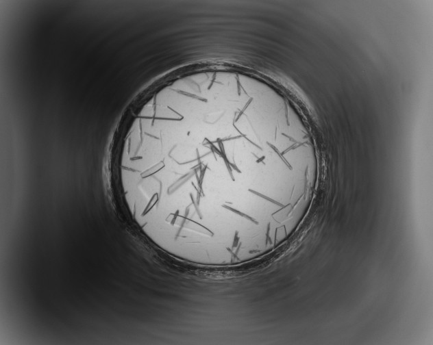 X0000087511020200705180950