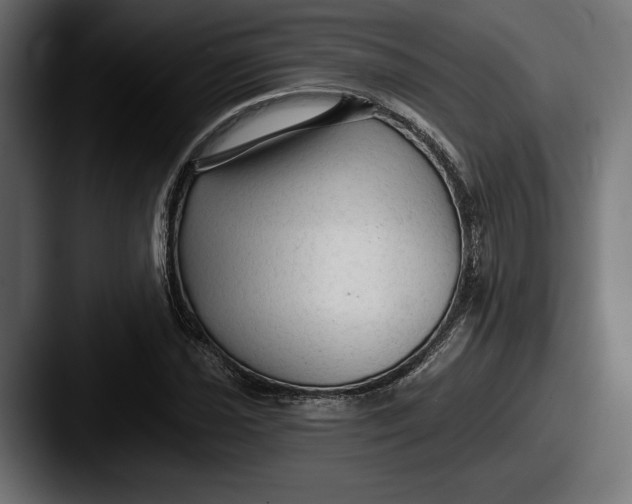 X0000087511021200705180950
