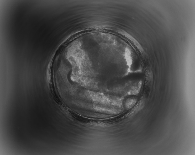 X0000087511023200705180950
