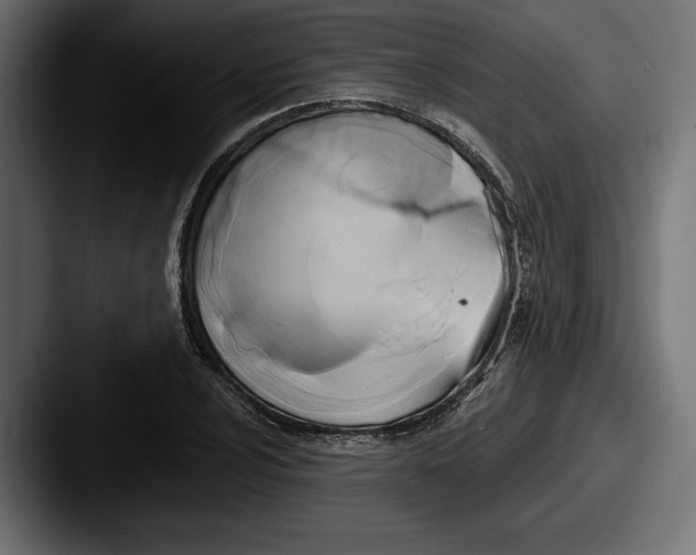 X0000087511024200705180950