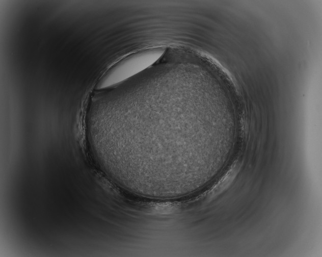 X0000087511025200705180950