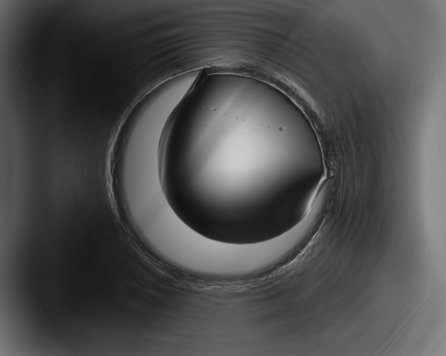 X0000087511026200705180950