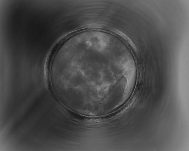 X0000087511027200705180950