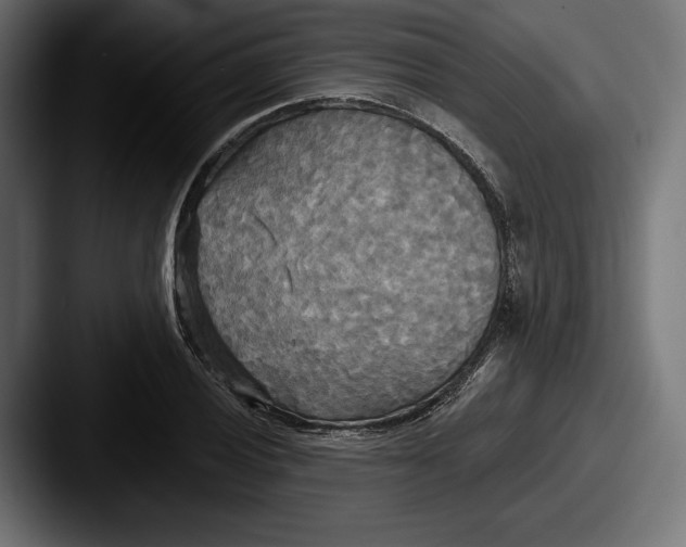 X0000087511028200705180950