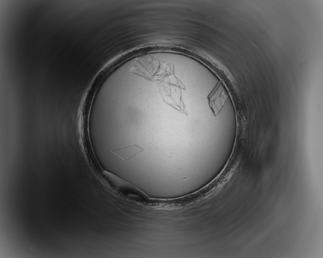 X0000087511029200705180950
