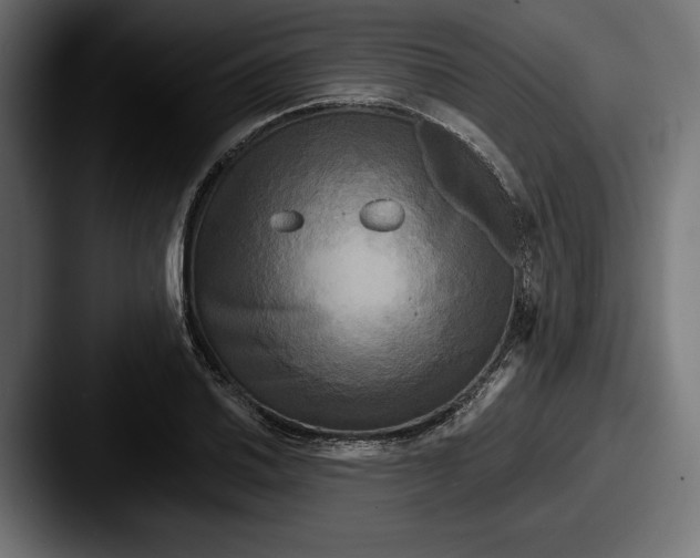X0000087511030200705180951