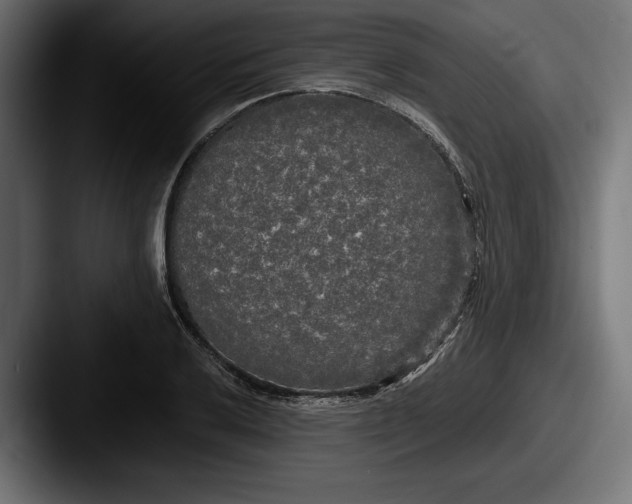X0000087511032200705180951