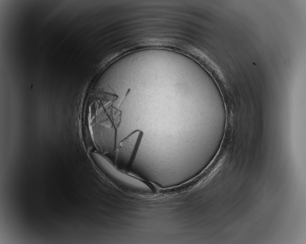 X0000087511033200705180951
