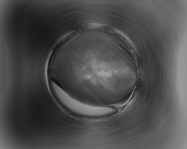 X0000087511034200705180951