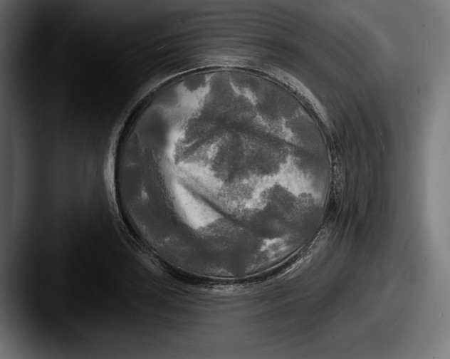 X0000087511035200705180951