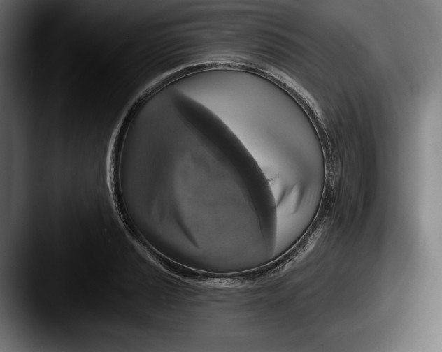 X0000087511037200705180951
