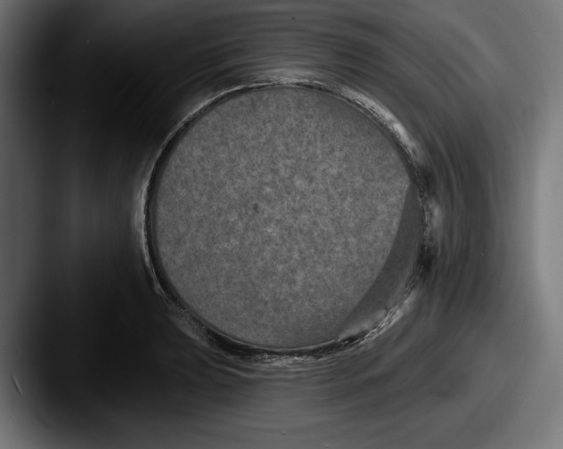 X0000087511039200705180951
