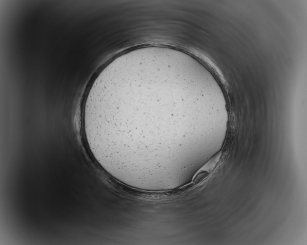 X0000087511040200705180951