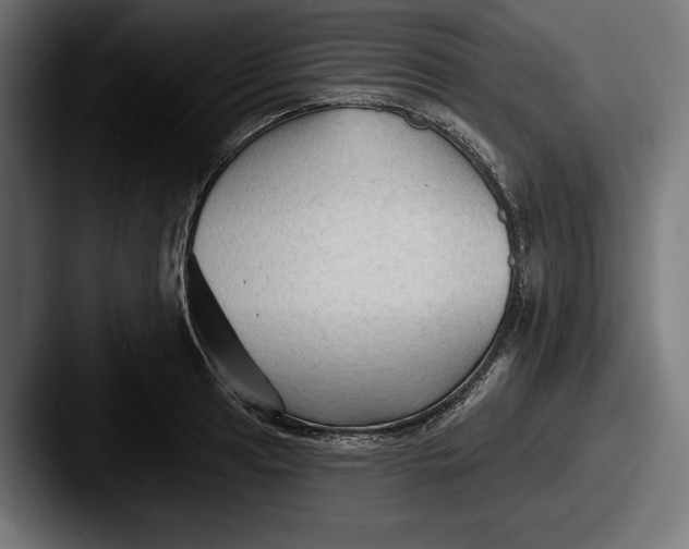 X0000087511041200705180951