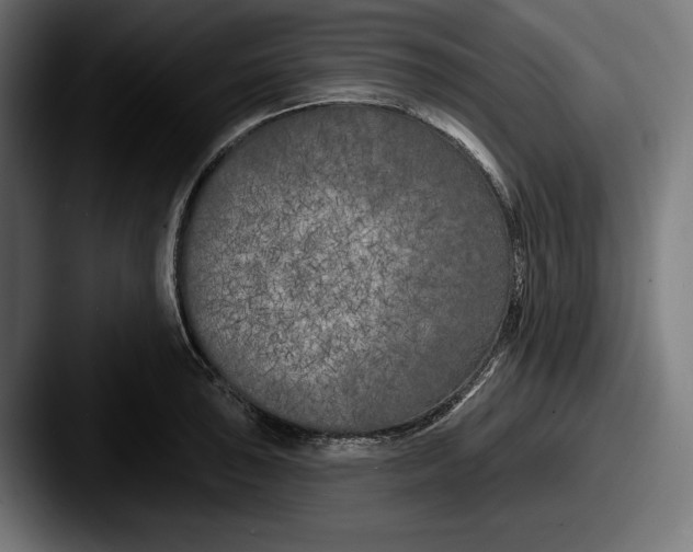 X0000087511043200705180951