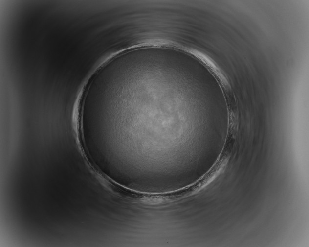X0000087511046200705180951
