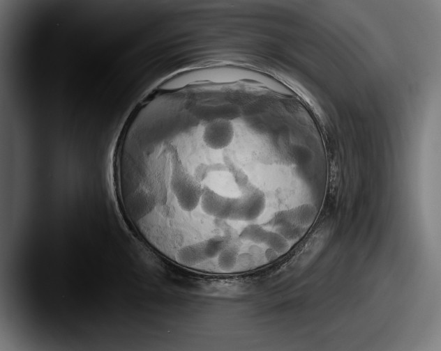 X0000087511047200705180951