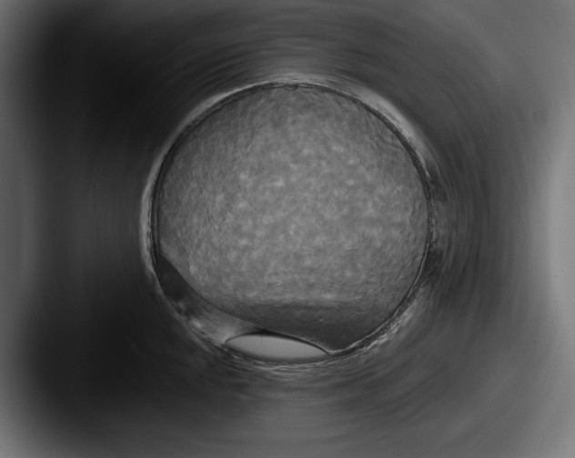 X0000087511048200705180951